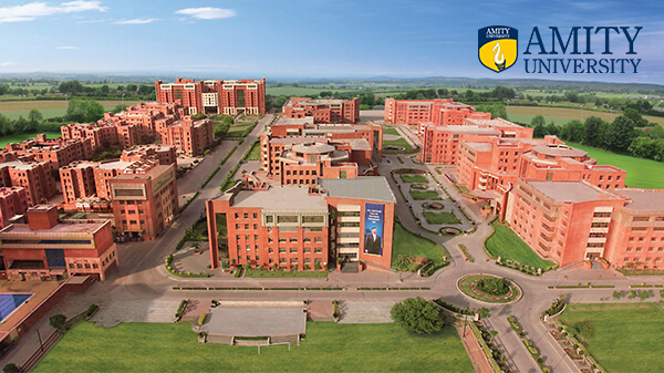 "Amity University Online "